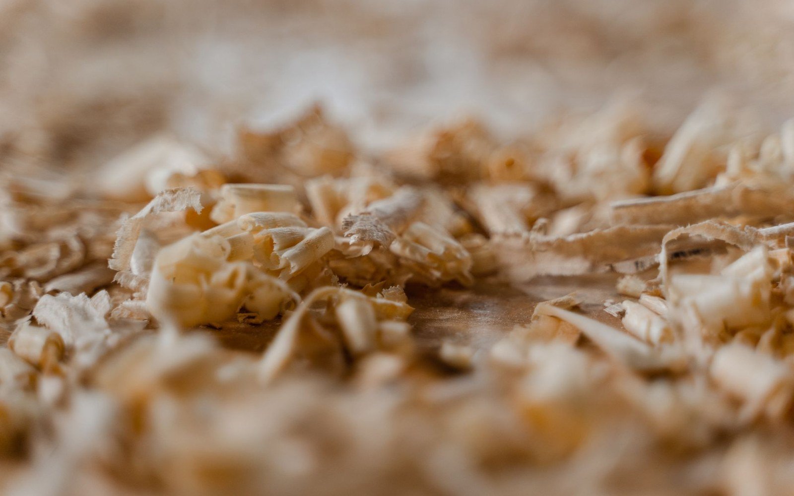 Close-up of pale wood shavings scattered across a wooden surface